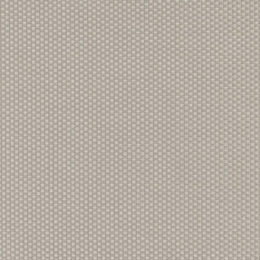ROL-TH503 Ρολοκουρτίνα Screen Ανοιχτό Γκρι ROL-TH503 Ρολοκουρτίνα Screen Ανοιχτό Γκρι